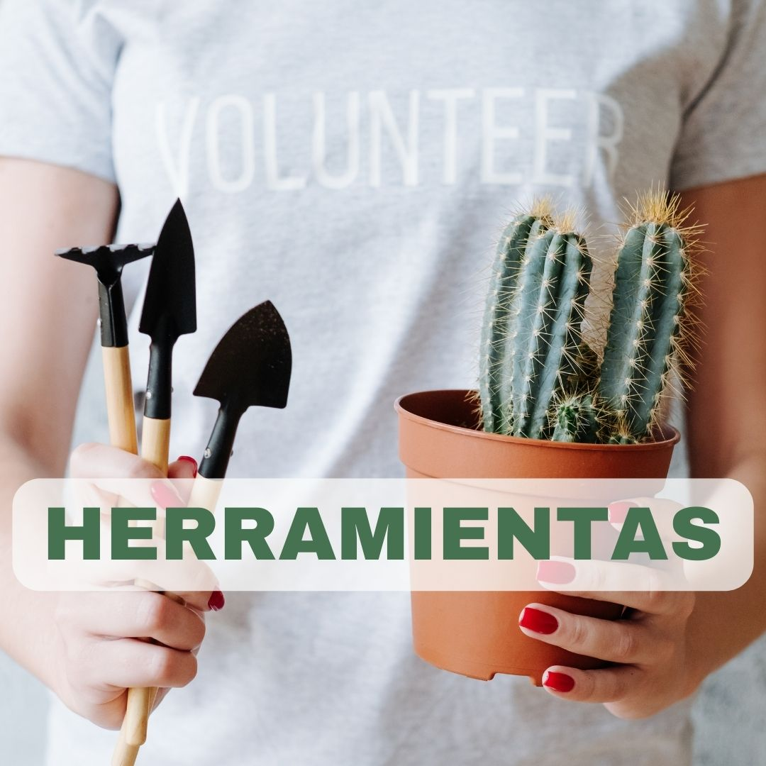 Herramientas