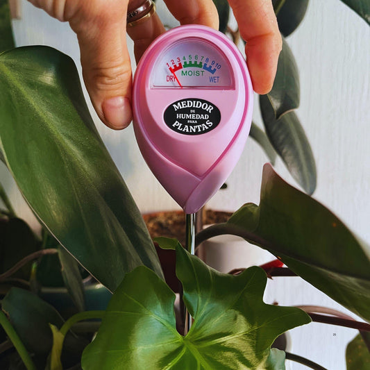 Medidor de Humedad de Plantas Livingselva - Precisión en el Riego sin Pilas