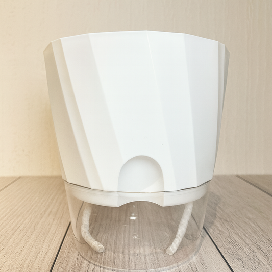 Maceta Autorriego Base Transparente