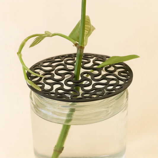 Discos Propagadores 3D - Multiplica tus Plantas con Facilidad