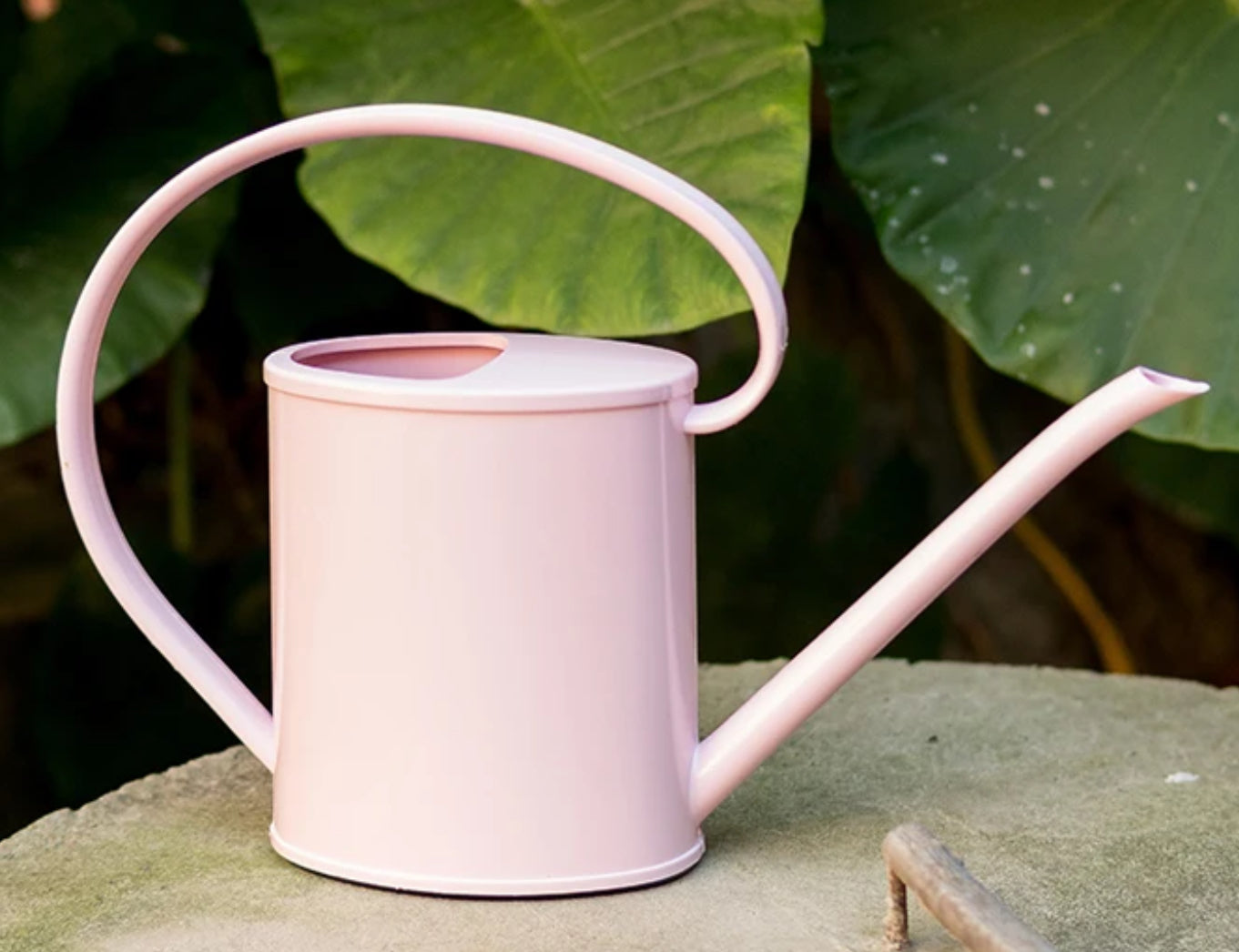 Regadera de Plástico Rígido 1200 ml: Precisión y Comodidad para tus Plantas
