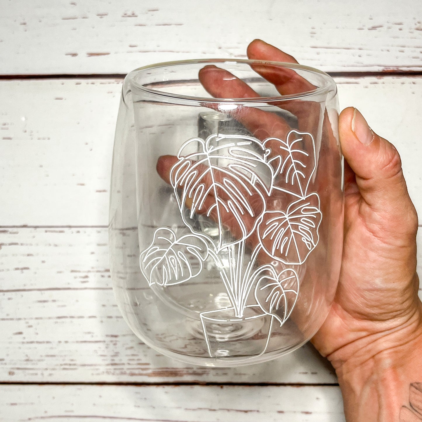 Tazones Doble Fondo para Plantlovers! 🌿
