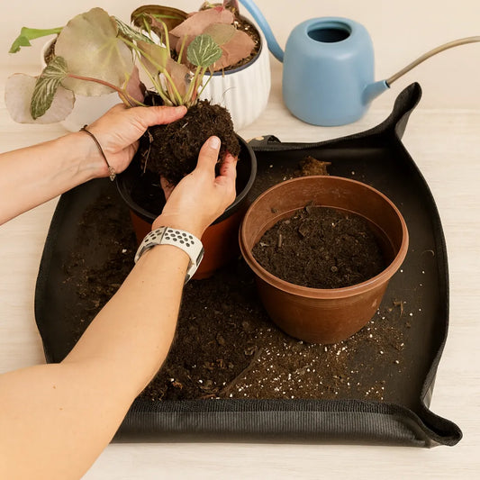 Mat o Alfombra para Jardinear LivingSelva - 50x60 cm, Impermeable y Reutilizable