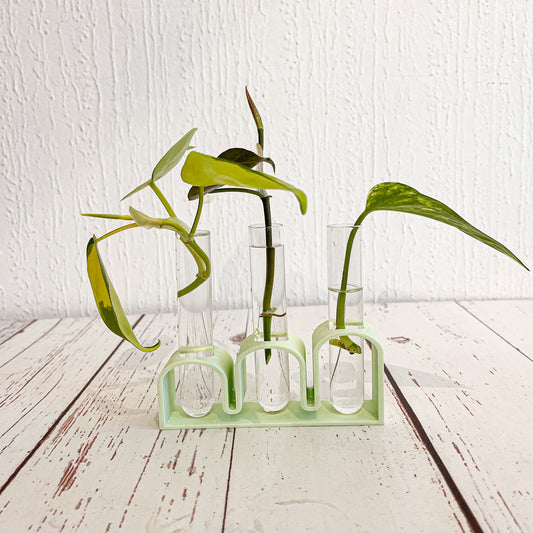 Propagador Triple: Multiplica tus plantas con estilo