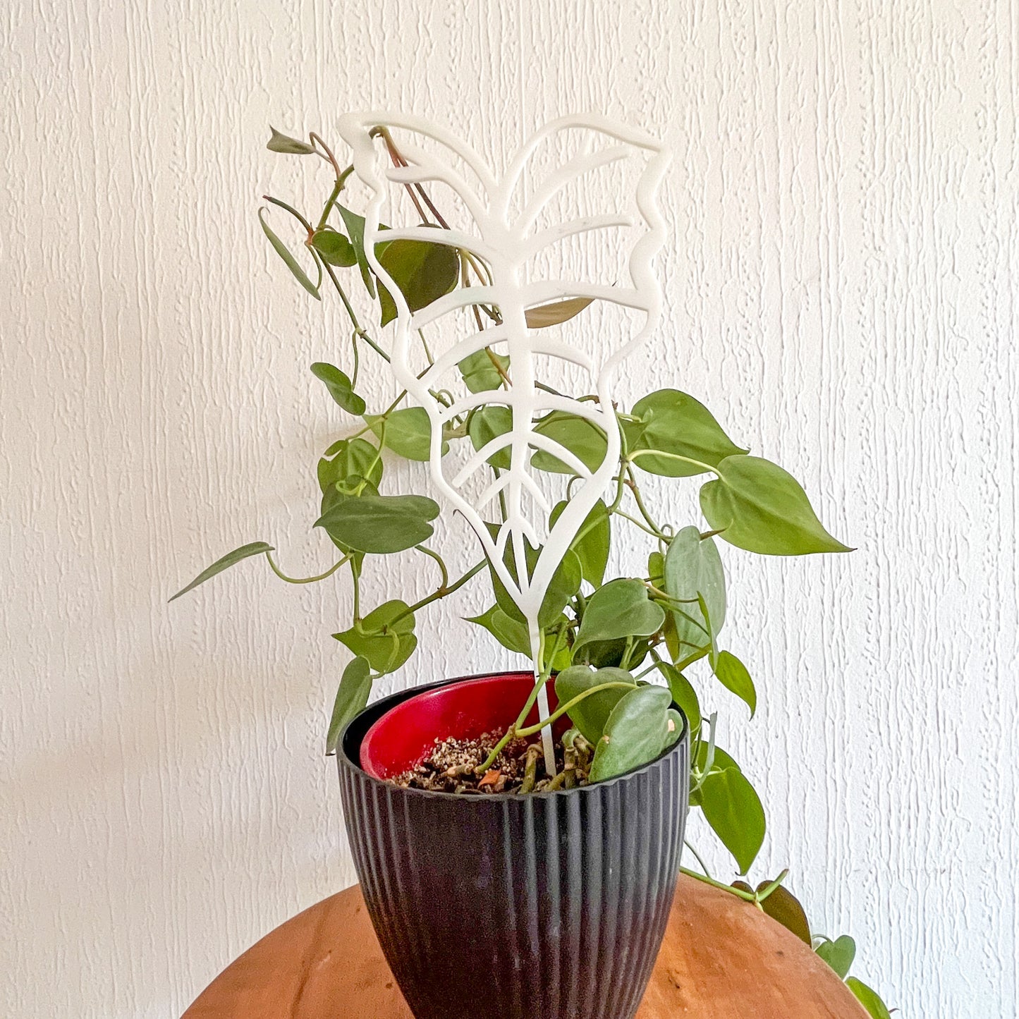 Tutores con Forma de Plantas - ¡Guía Perfecta para Tus Plantas! 🌿✨