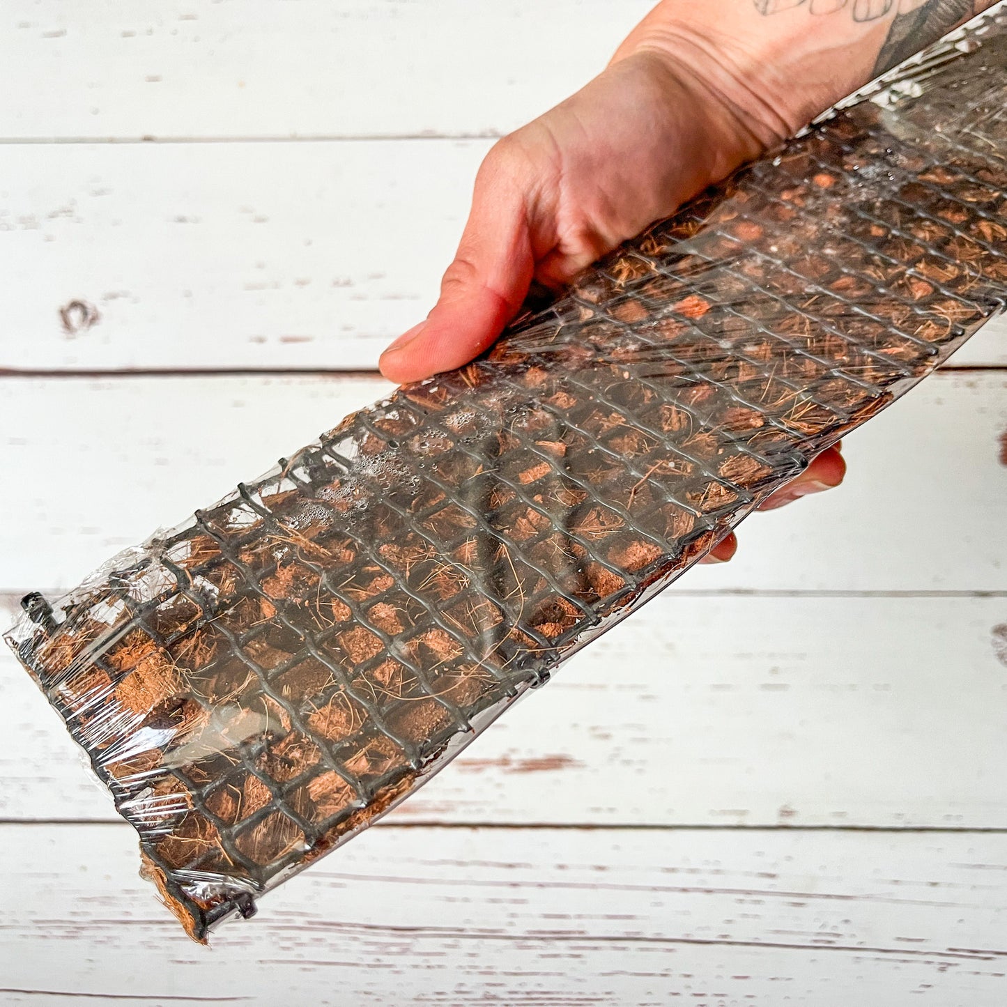 Tutor Básico de Cocochips de 50 cm! 🌿 - Apoya el crecimiento de tus plantas tropicales.