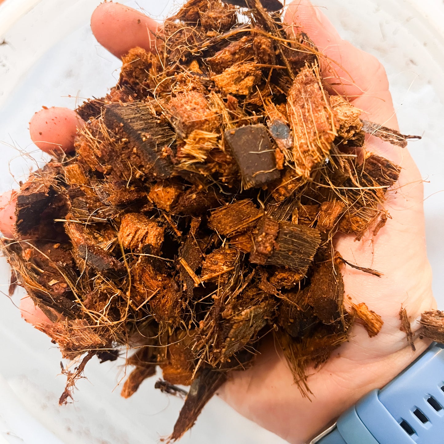 Corteza de Coco (Cocochips) - 3L para Plantas Tropicales y Tutores