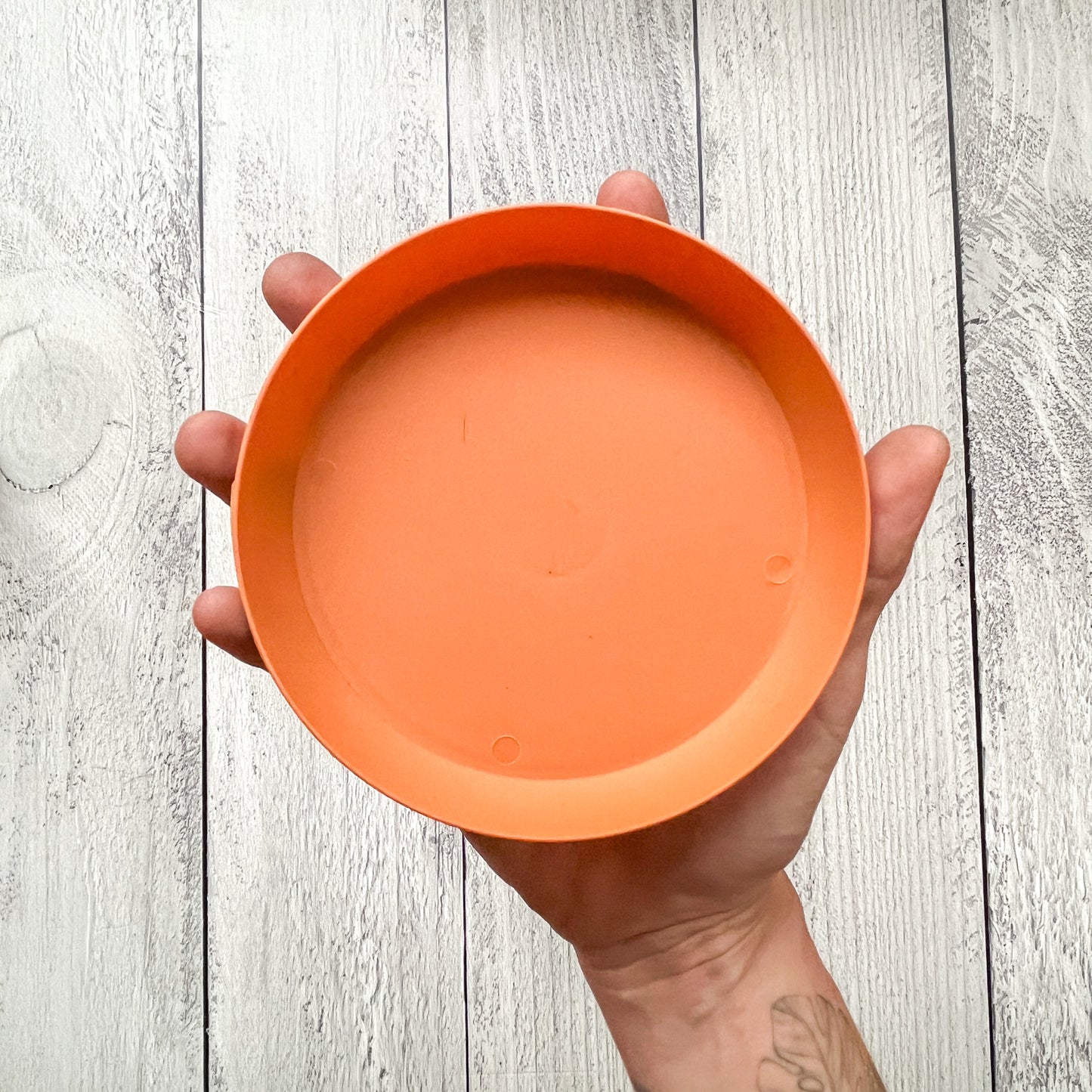 Platos de Colores para Macetas