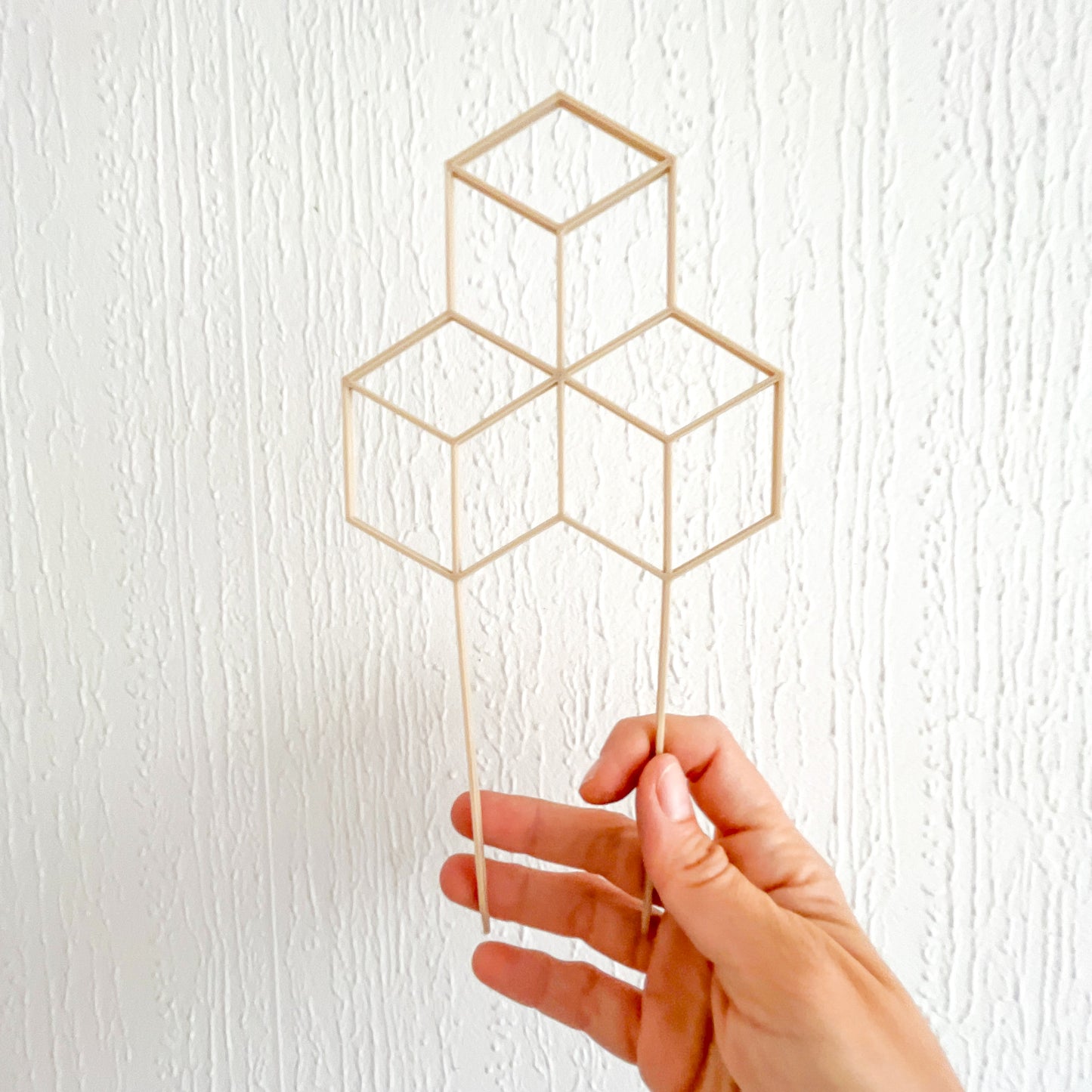 Set 3 Tutores Minis para Plantas – El apoyo perfecto para tus plantitas colgantes 🌿