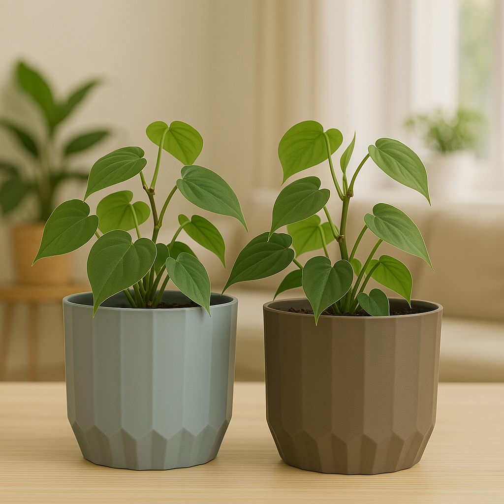 Macetas minimalistas con drenaje – Diseño compacto, ideal para plantas pequeñas