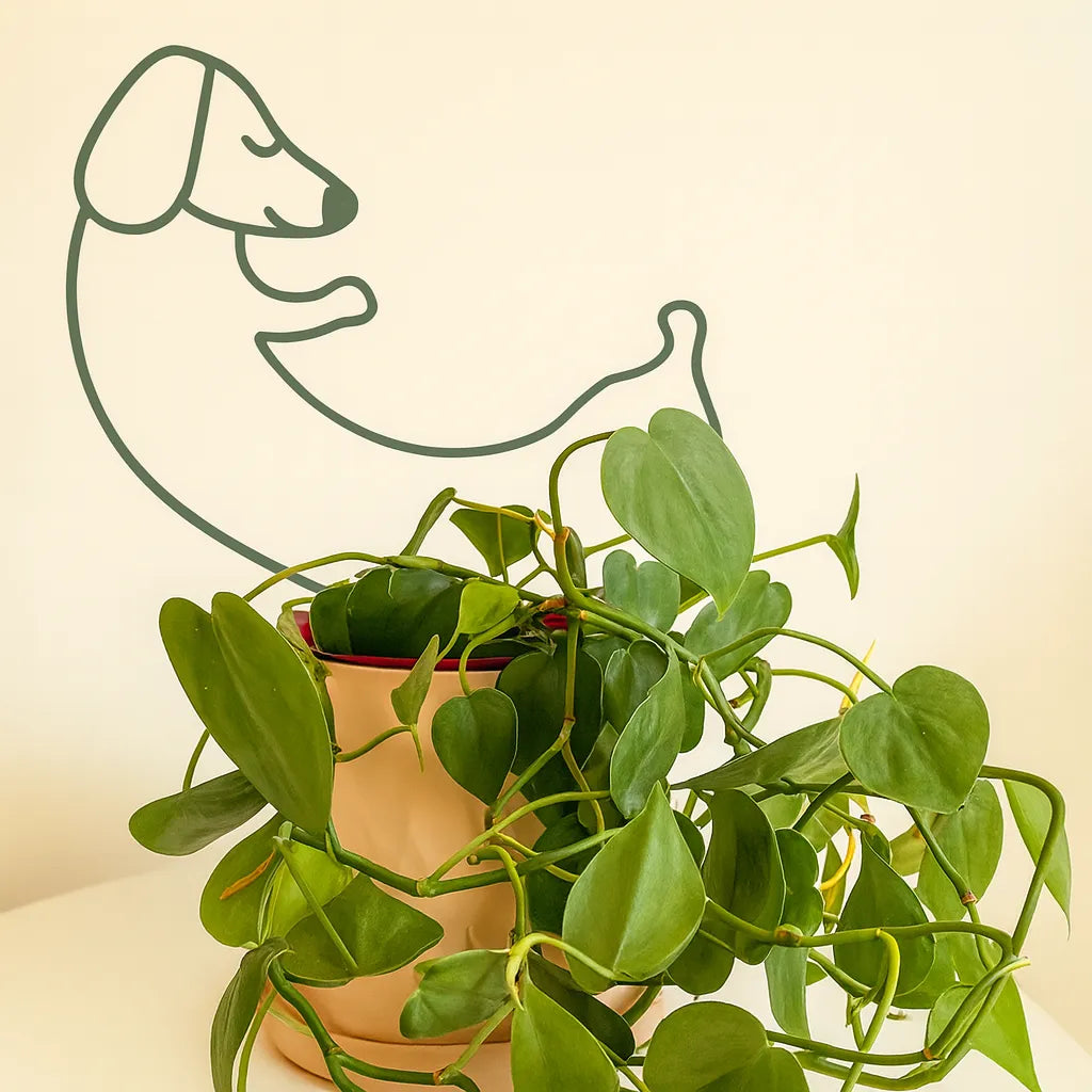 Salchitutor – Tutor Perrito Salchicha Ecoamigable para Plantas