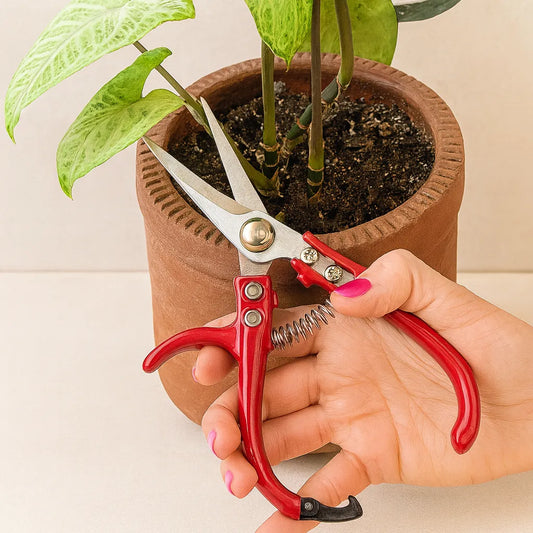 Tijeras para Jardinería: Precisión y Comodidad en Cada Corte