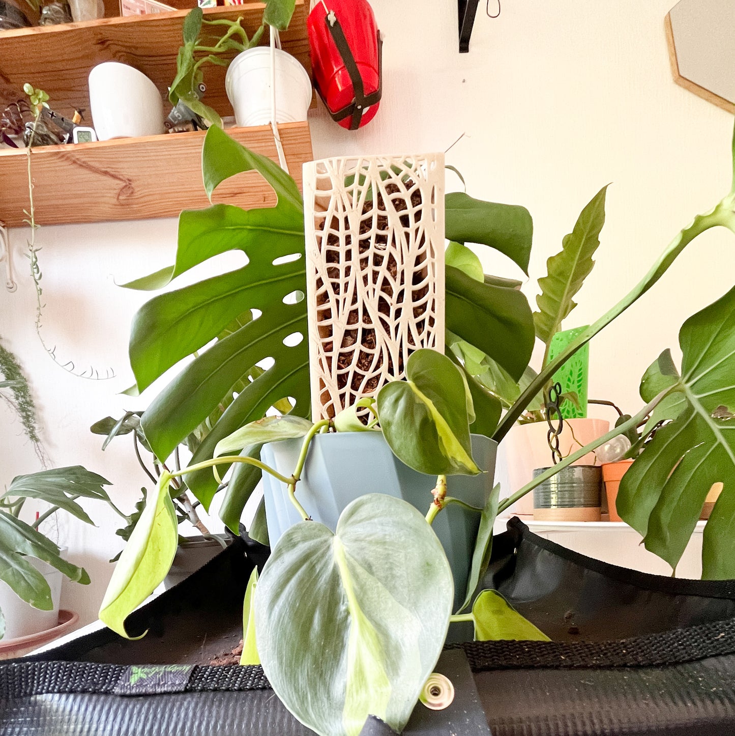 Tutor Armable para Plantas