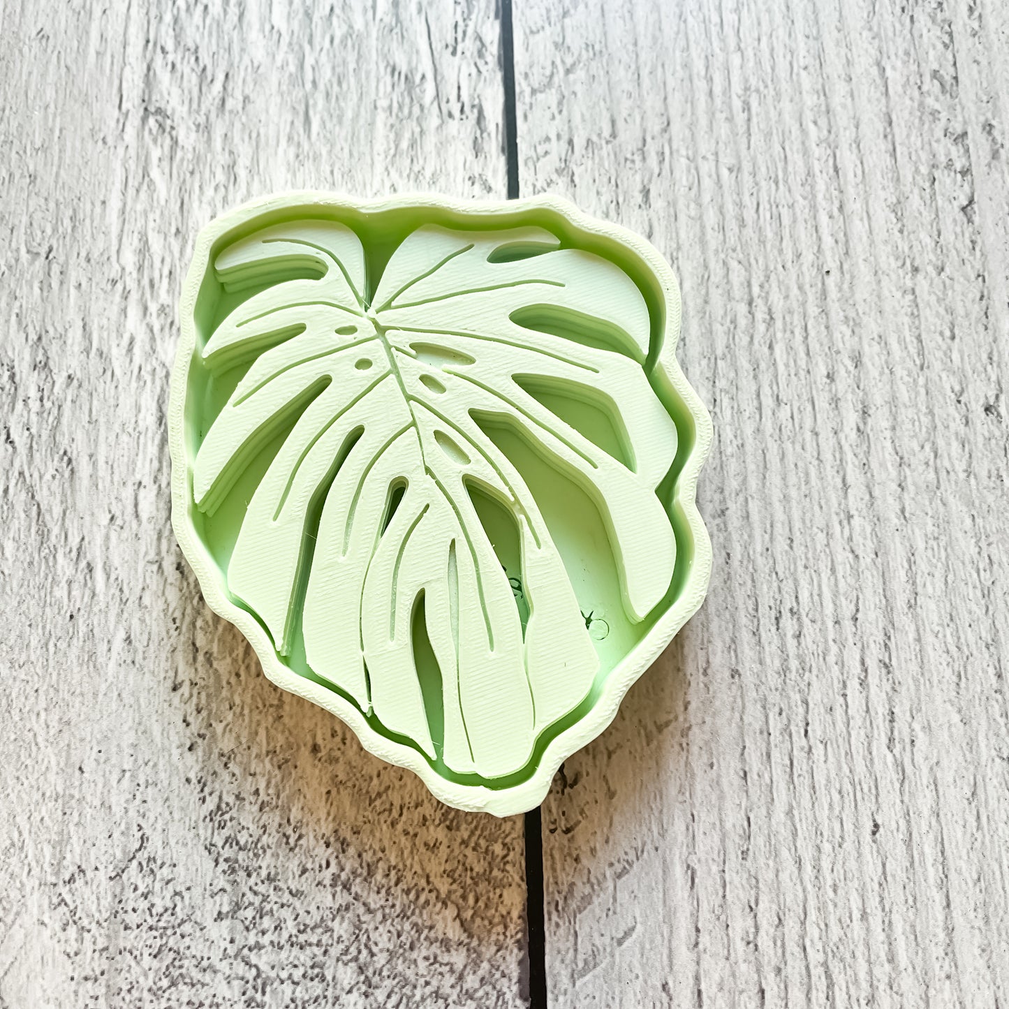 Posavasos Monstera - ¡El Detalle Perfecto para Tu Casa! 🌿✨