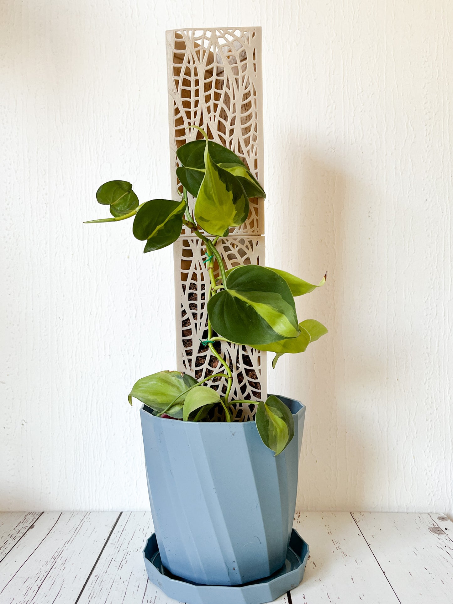 Tutor Armable para Plantas