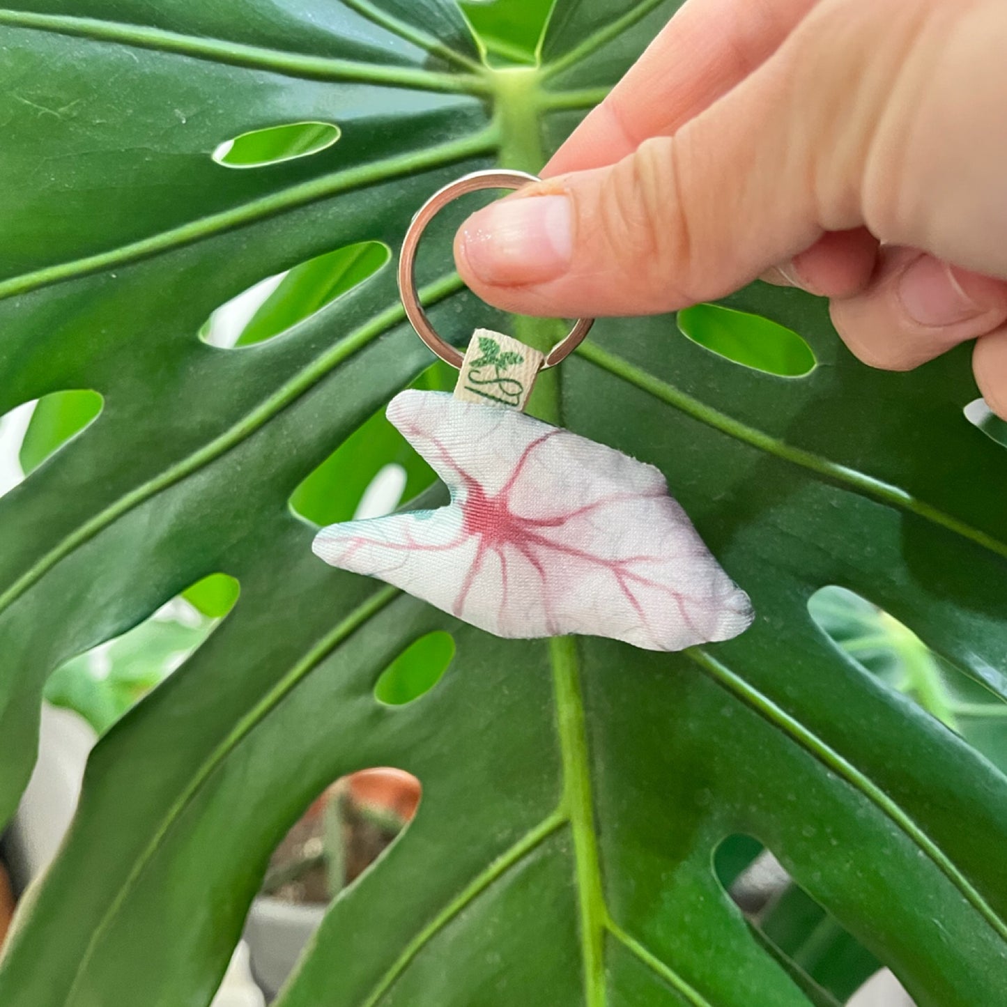 Llaveros de Plantas - Plantidetalles que Enamoran! 🌿✨
