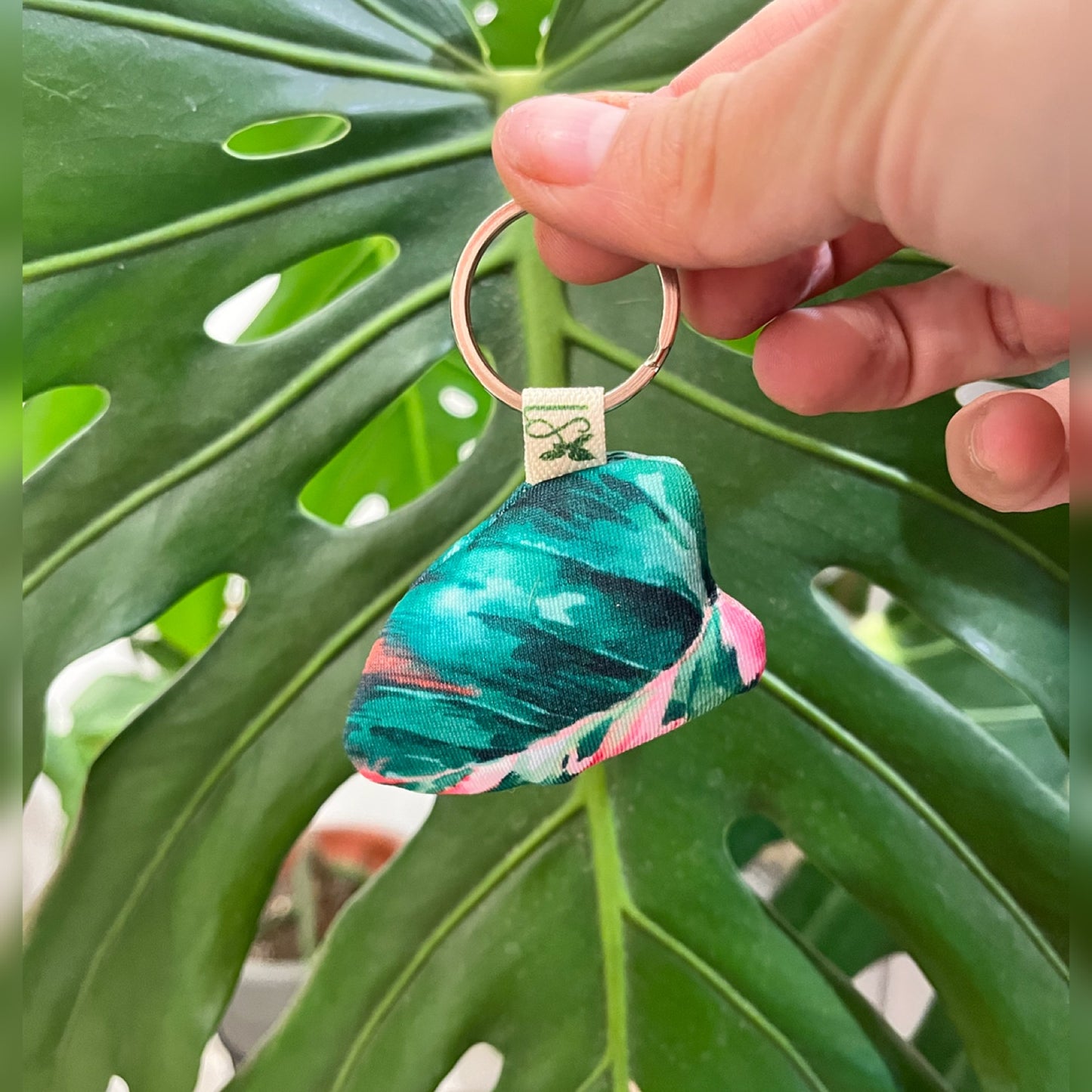 Llaveros de Plantas - Plantidetalles que Enamoran! 🌿✨