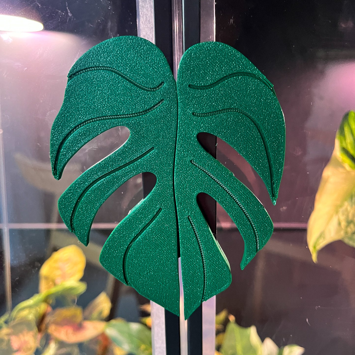 Plantimanilla Monstera para Vitrina Rudsta (Ikea)