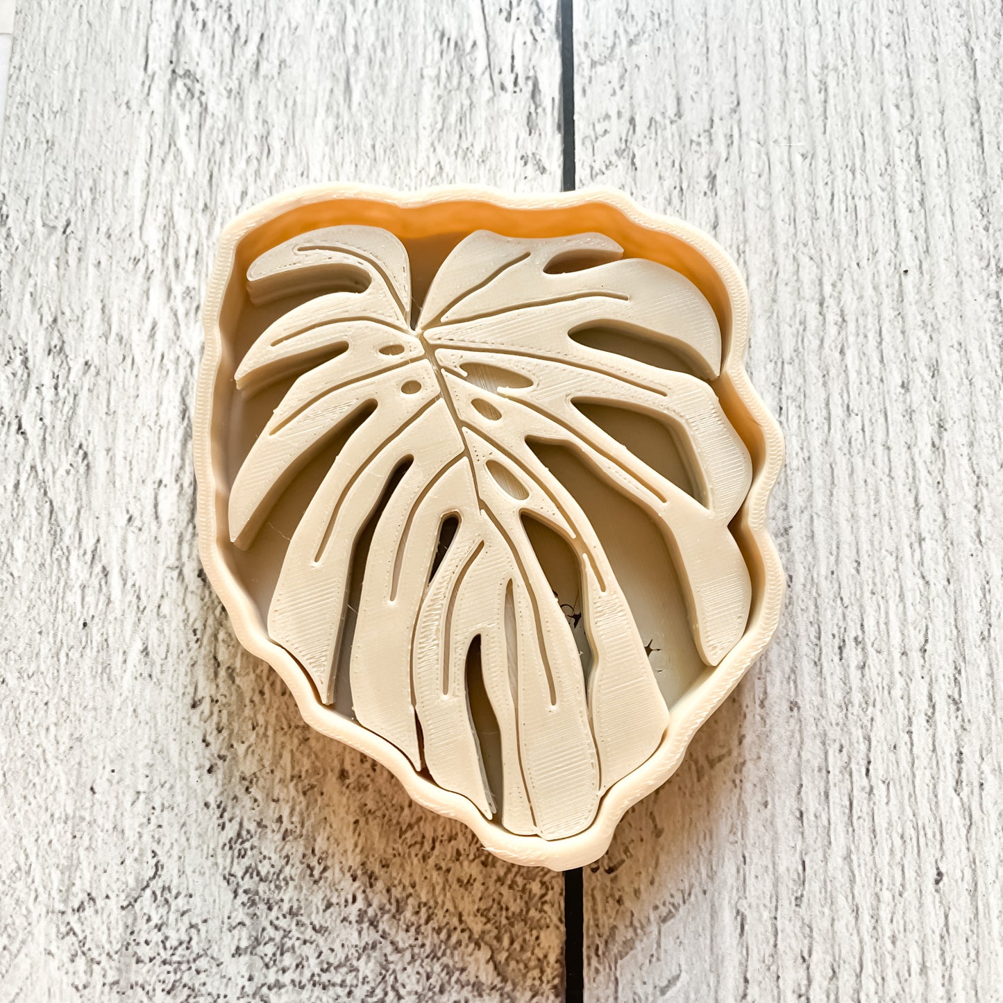 Posavasos Monstera - ¡El Detalle Perfecto para Tu Casa! 🌿✨
