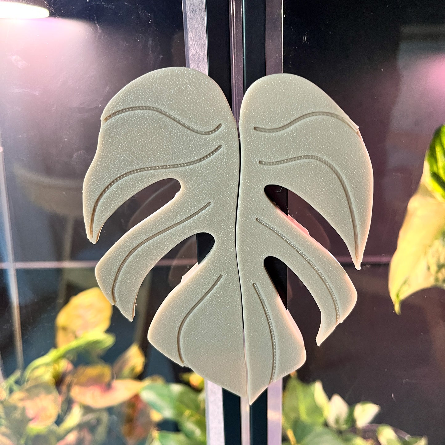 Plantimanilla Monstera para Vitrina Rudsta (Ikea)