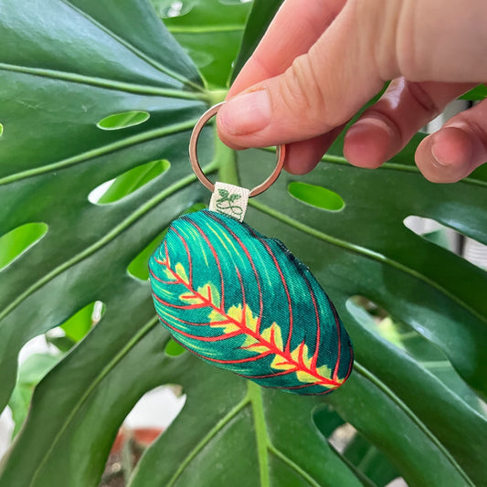 Llaveros de Plantas - Plantidetalles que Enamoran! 🌿✨