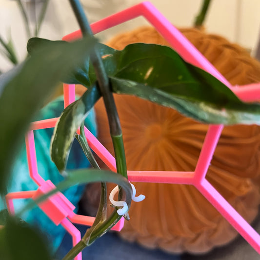 Pack de Clips para Tutores - Impresos en PLA+