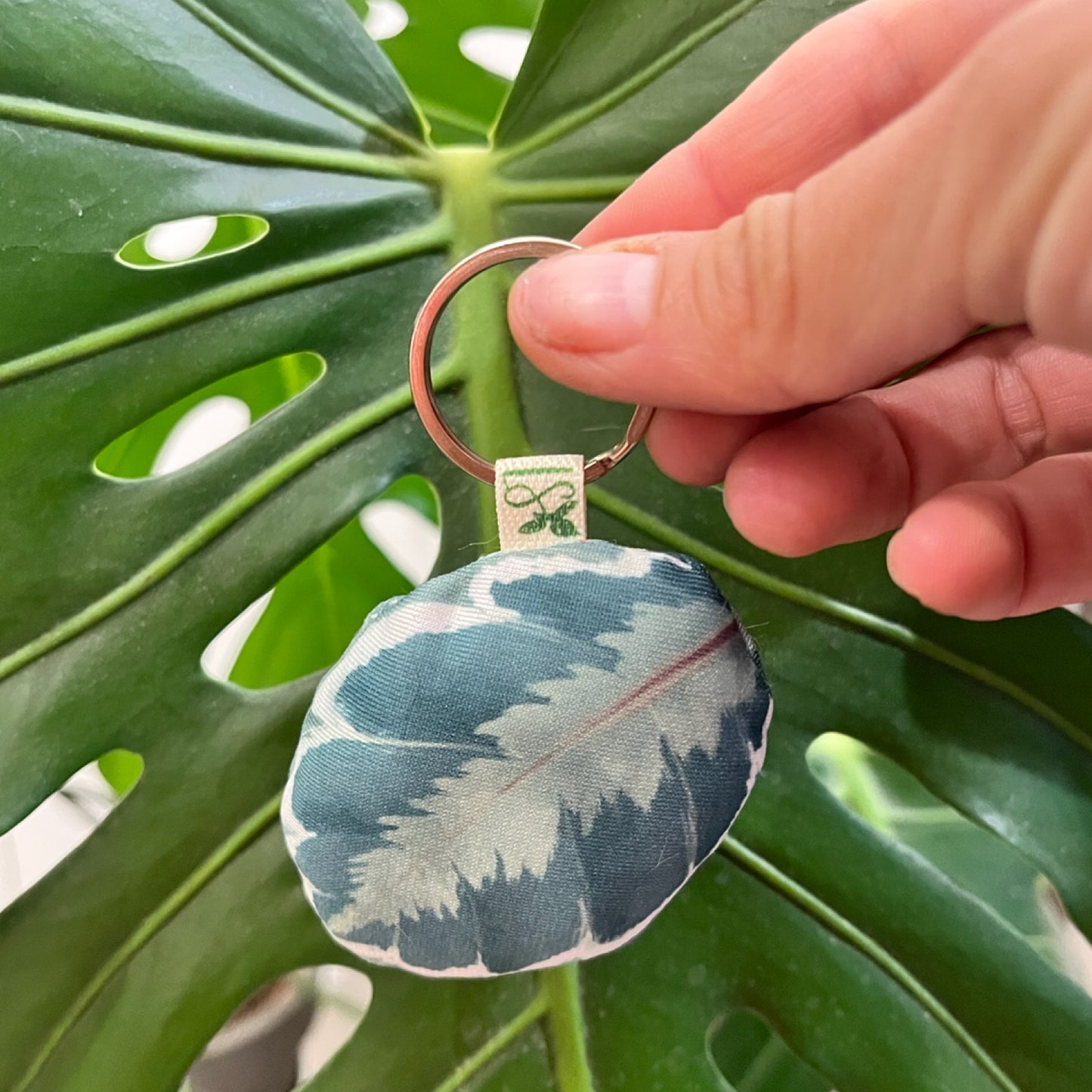 Llaveros de Plantas - Plantidetalles que Enamoran! 🌿✨