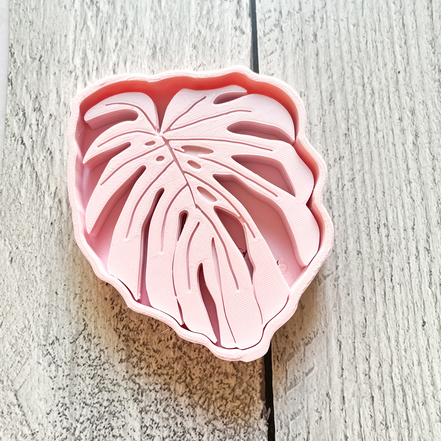 Posavasos Monstera - ¡El Detalle Perfecto para Tu Casa! 🌿✨