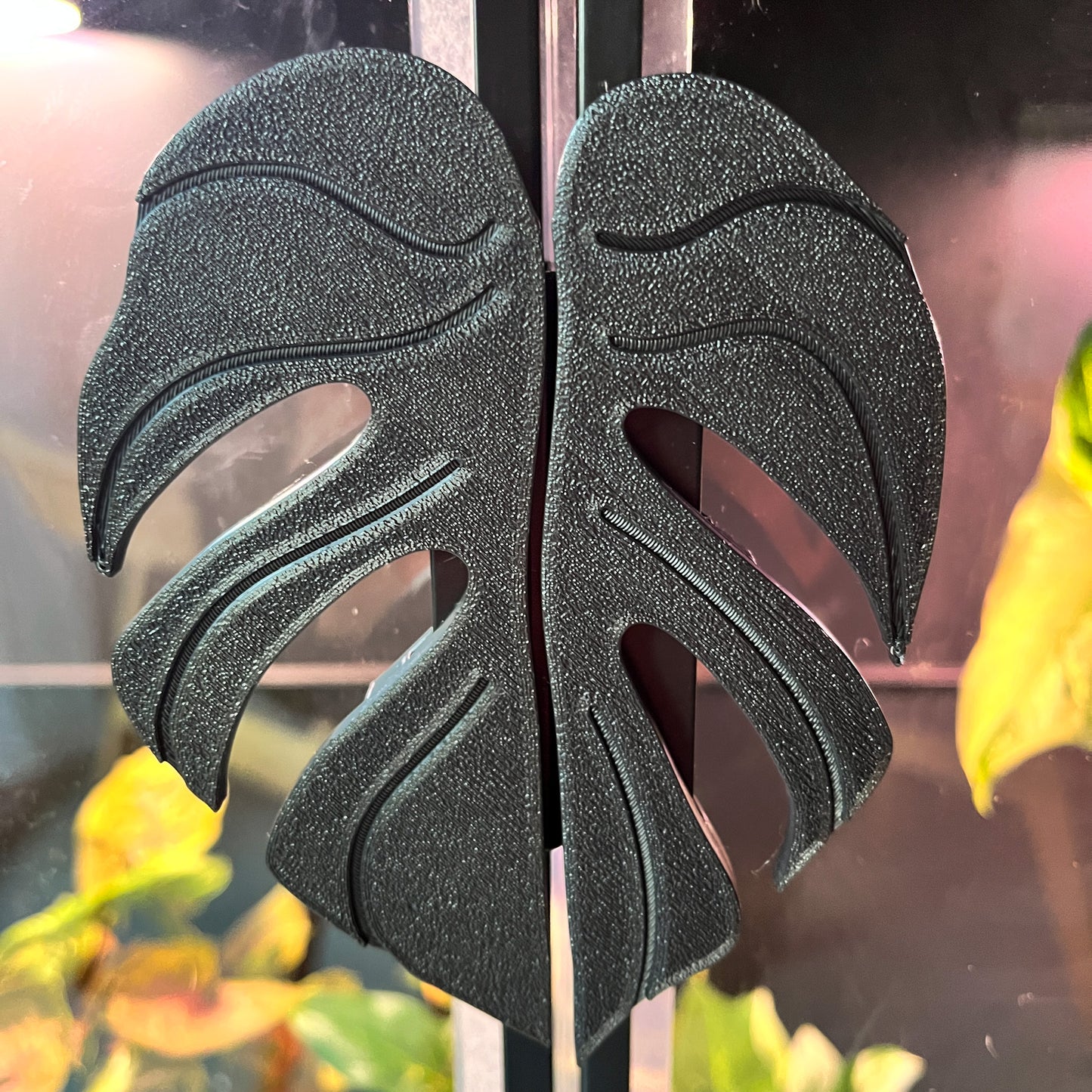 Plantimanilla Monstera para Vitrina Rudsta (Ikea)