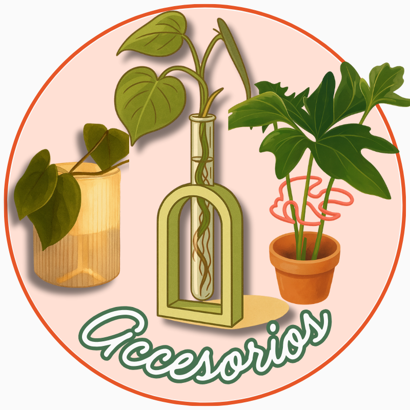 Detalles para tus plantas