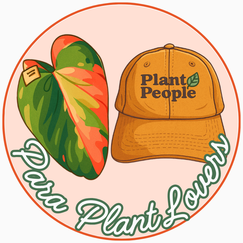 ¡Usa tus plantas!