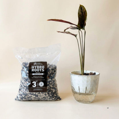 HydroRoots  — El sustrato perfecto para el cultivo en agua