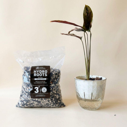 HydroRoots  — El sustrato perfecto para el cultivo en agua