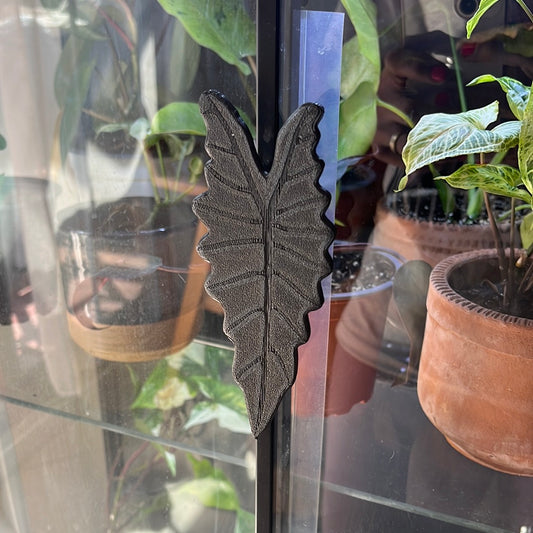 Manilla Alocasia para Vitrina Ikea Rudsta – Detalle Perfecto para tu Hogar