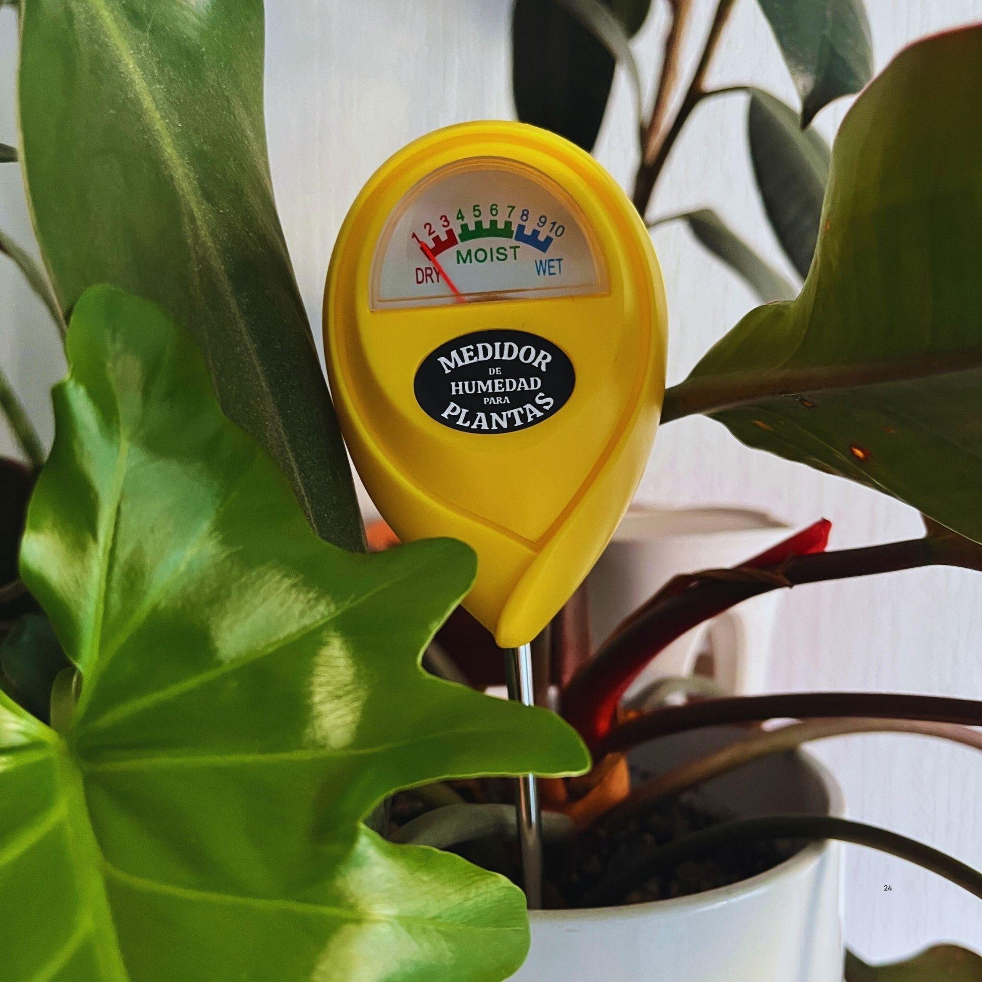 Medidor de Humedad de Plantas Livingselva - Precisión en el Riego sin Pilas