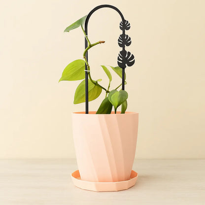 Tutor 3Monsteras - Guía el crecimiento de tus plantas con estilo. 🌿