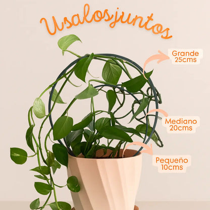 Set de Tutores para Plantas – Soporte Ecoamigable en 3 Tamaños