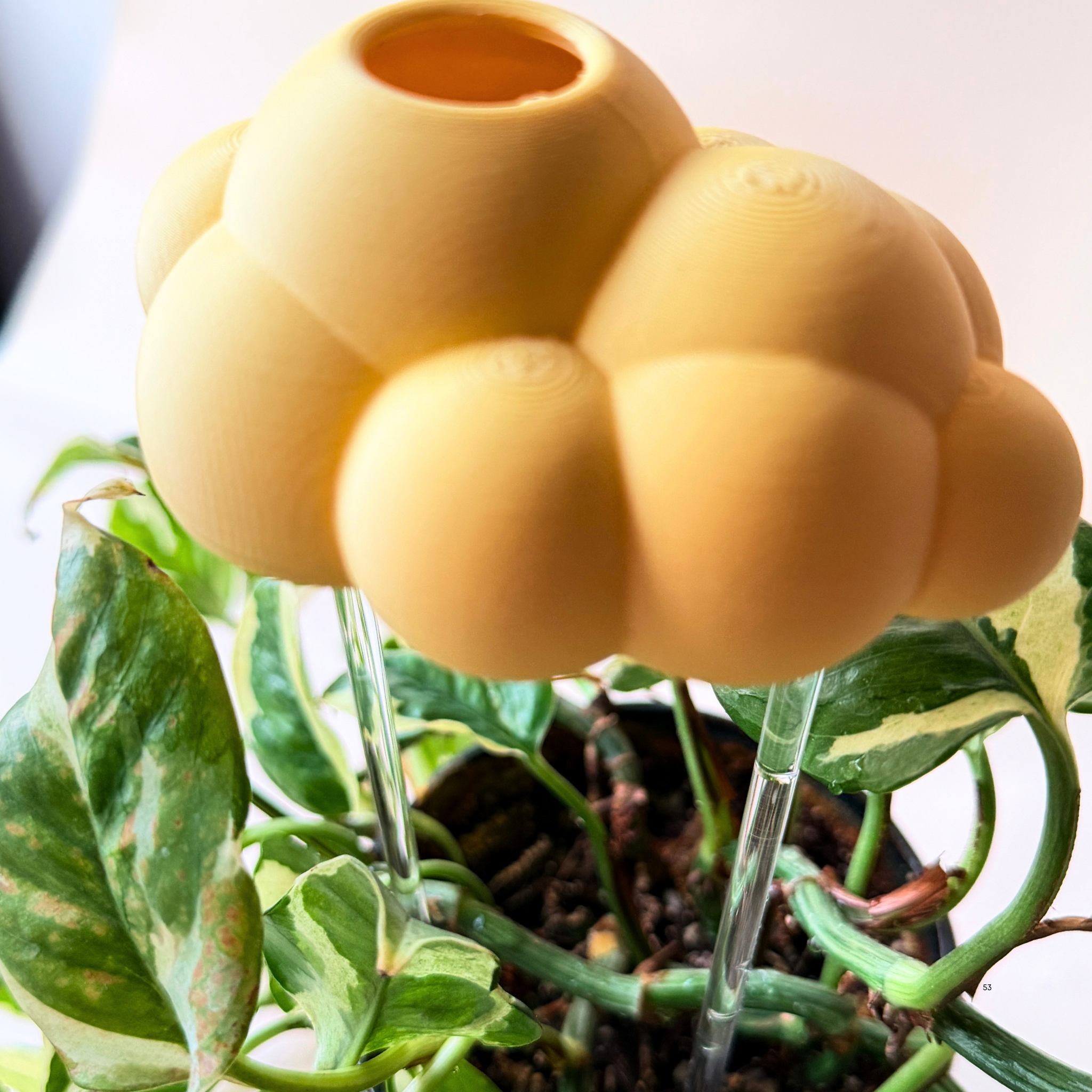 Nube para Riego de Plantas - Diseño Decorativo y Funcional