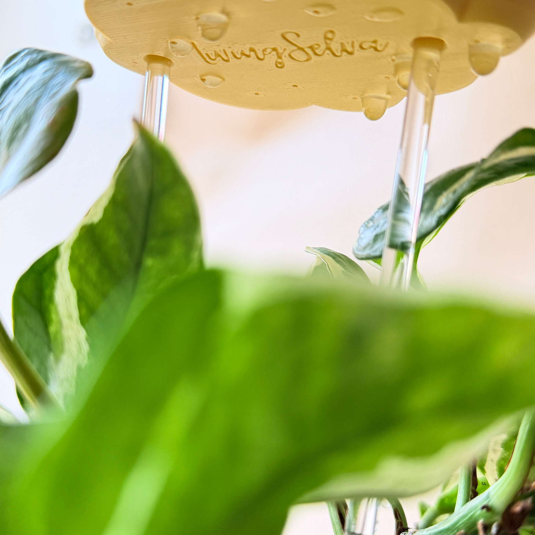 Nube para Riego de Plantas - Diseño Decorativo y Funcional