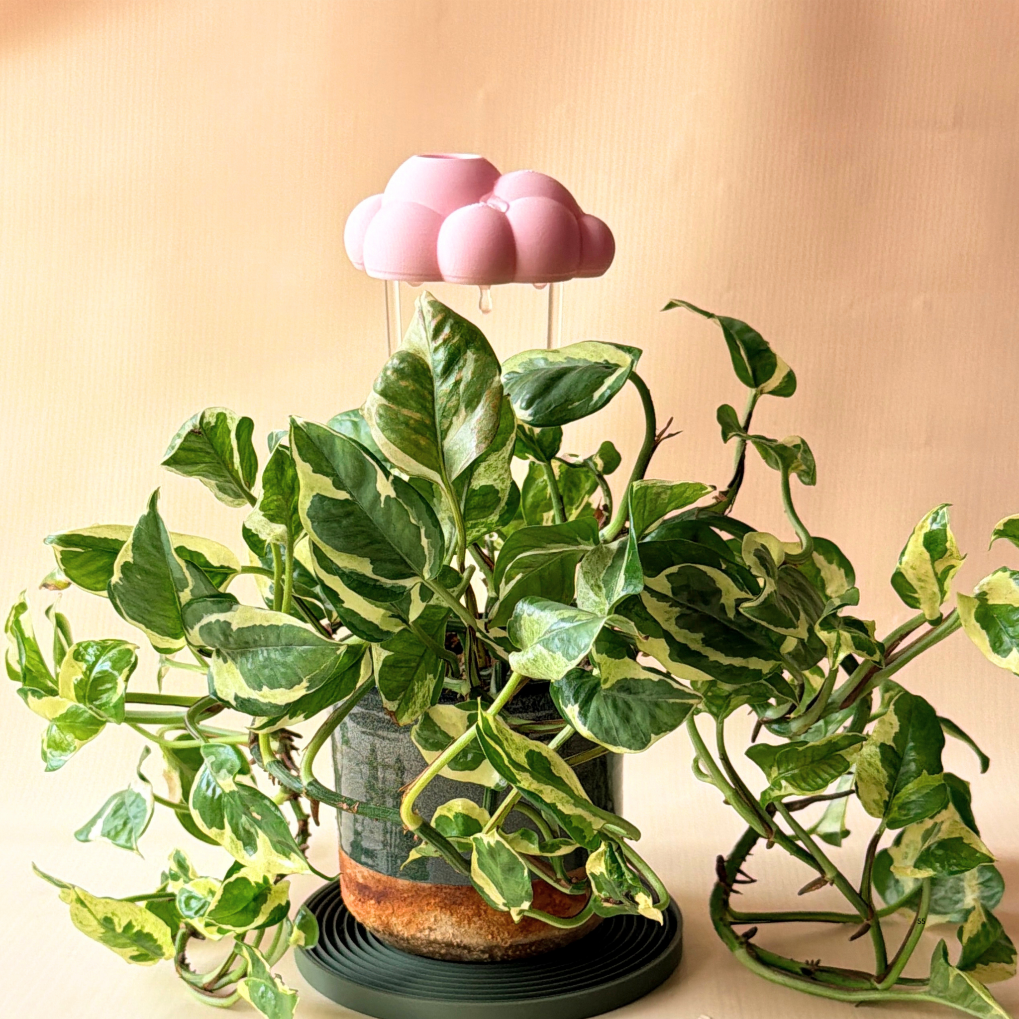Nube para Riego de Plantas - Diseño Decorativo y Funcional
