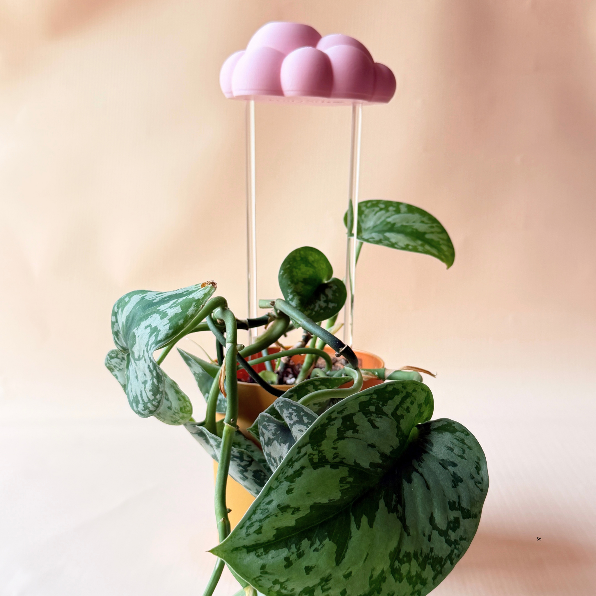 Nube para Riego de Plantas - Diseño Decorativo y Funcional