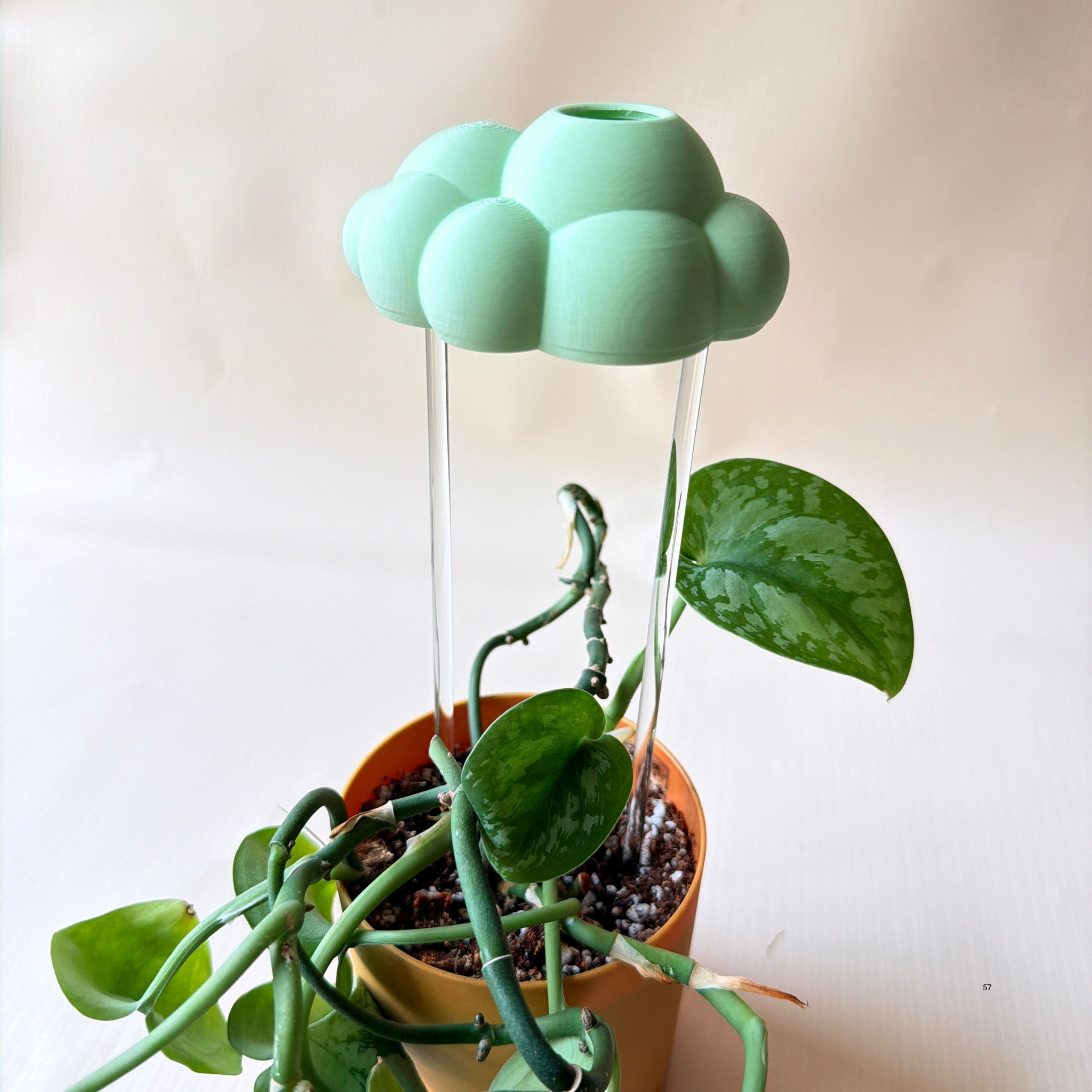 Nube para Riego de Plantas - Diseño Decorativo y Funcional