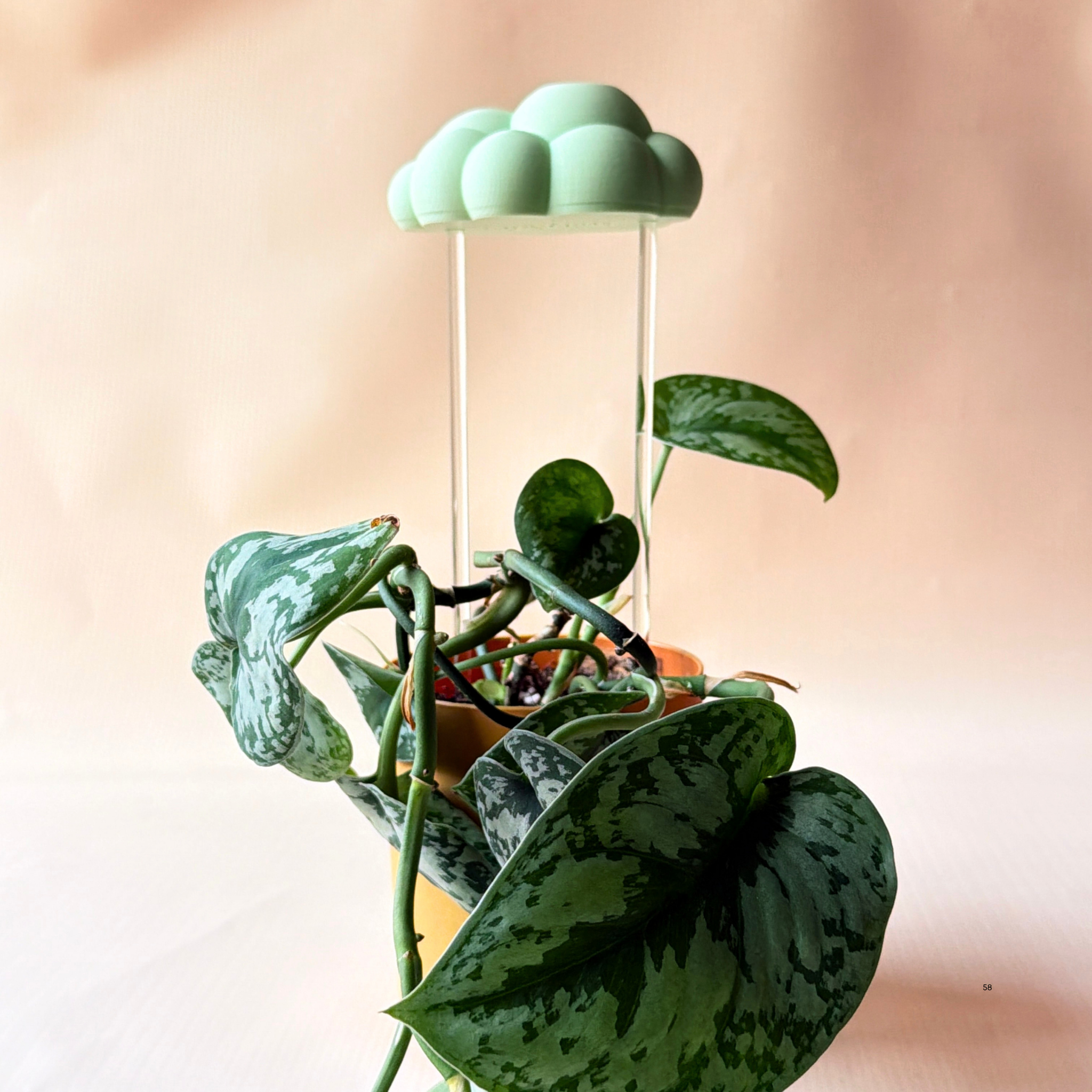Nube para Riego de Plantas - Diseño Decorativo y Funcional