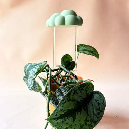 Nube para Riego de Plantas - Diseño Decorativo y Funcional