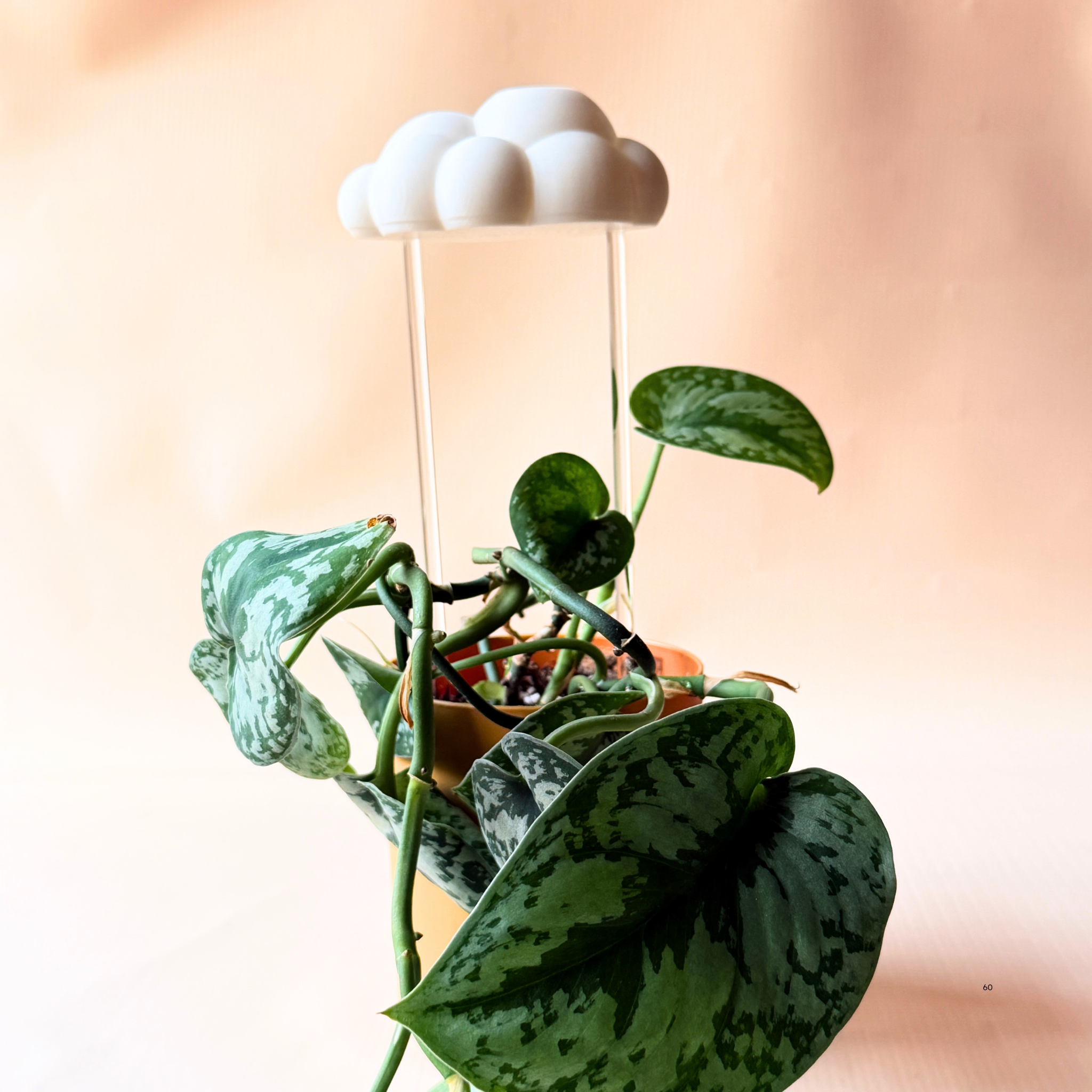 Nube para Riego de Plantas - Diseño Decorativo y Funcional