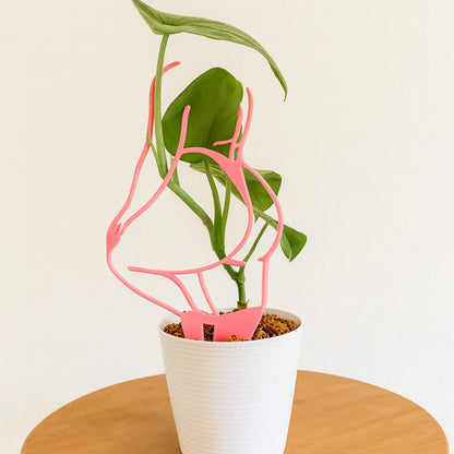 Tutor 8M&nbsp; Girl Power - Guía para Plantas Impresa en 3D 💪🌿