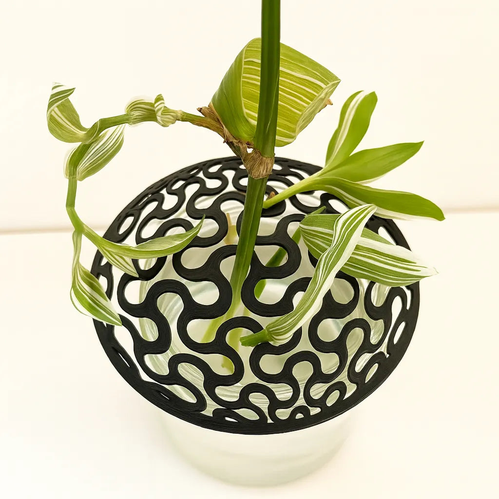 Discos Propagadores 3D - Multiplica tus Plantas con Facilidad