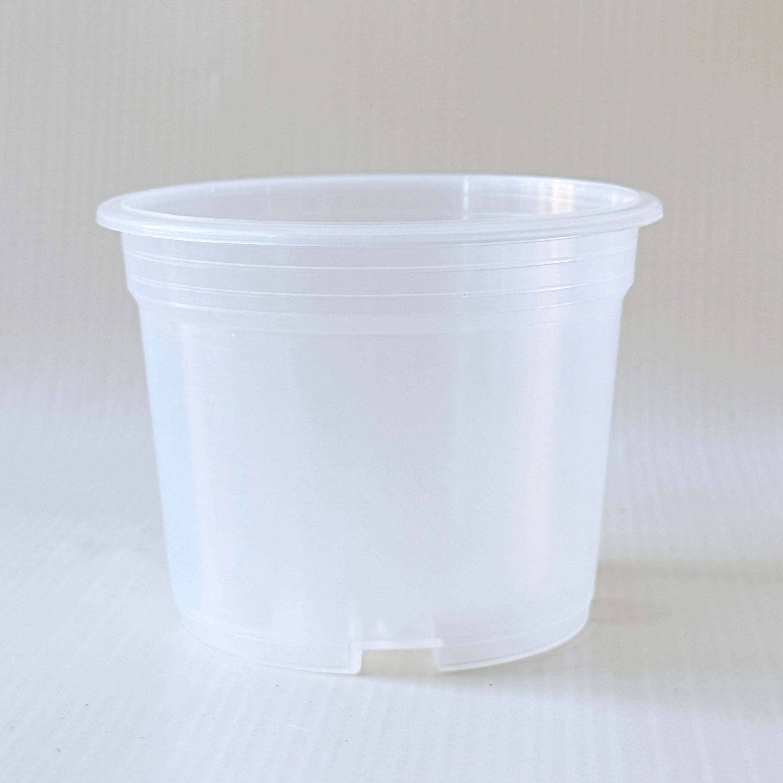 Maceta Plástica Transparente para Plantas de Interior – 10 cm