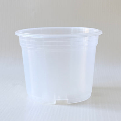 Maceta Plástica Transparente para Plantas de Interior – 10 cm