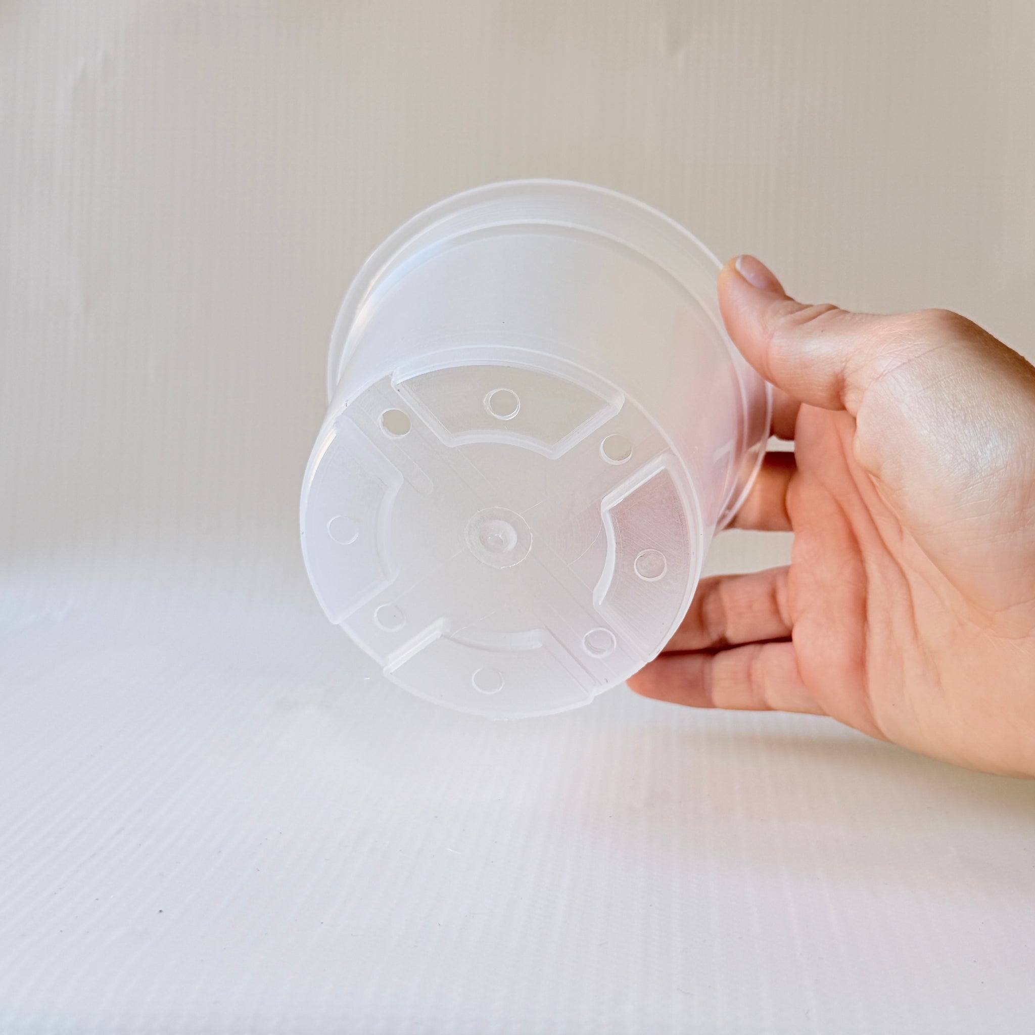 Maceta Plástica Transparente para Plantas de Interior – 10 cm